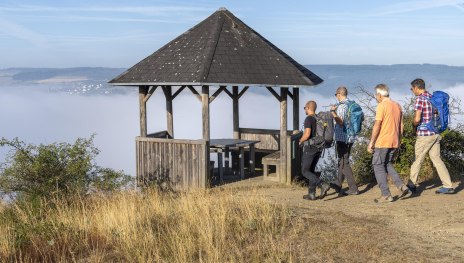 Schwedenschanze | &copy; Katja S. Verhoeven