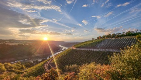 Weinberge Nochern | &copy; Wolfgang Kromat